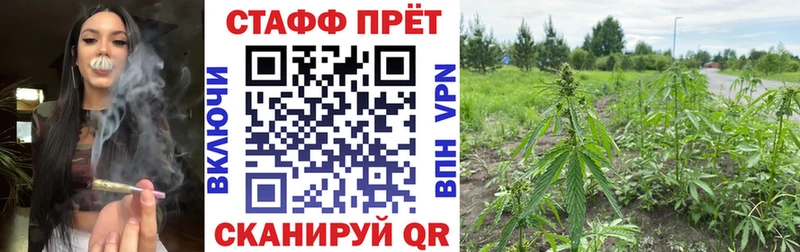 Купить наркотик аптеки Бабаево АМФЕТАМИН  ГАШИШ  Канабис  КОКАИН  Галлюциногенные грибы  СК 