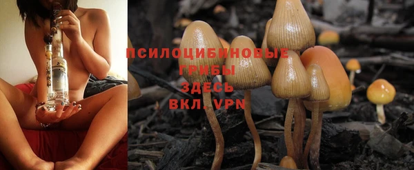 таблы Армянск