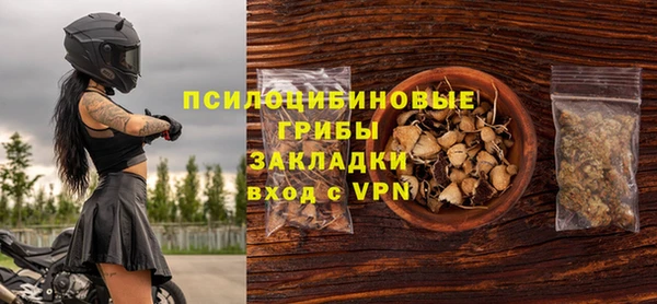 прущая мука Арсеньев