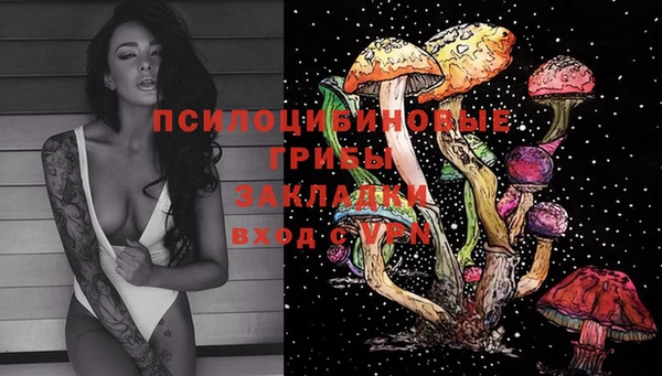 таблы Армянск