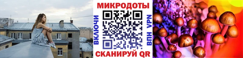 Псилоцибиновые грибы Cubensis  Бабаево 